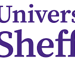 كلية شيفيلد
