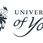 جامعة يورك